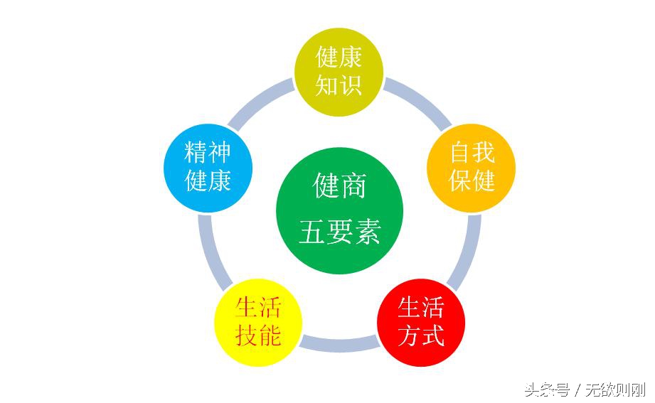 人生成功十商大全——德智灵情心志健逆胆财