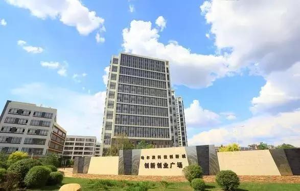 你心中的哈尔滨是什么样的,哈尔滨是个什么样的地方