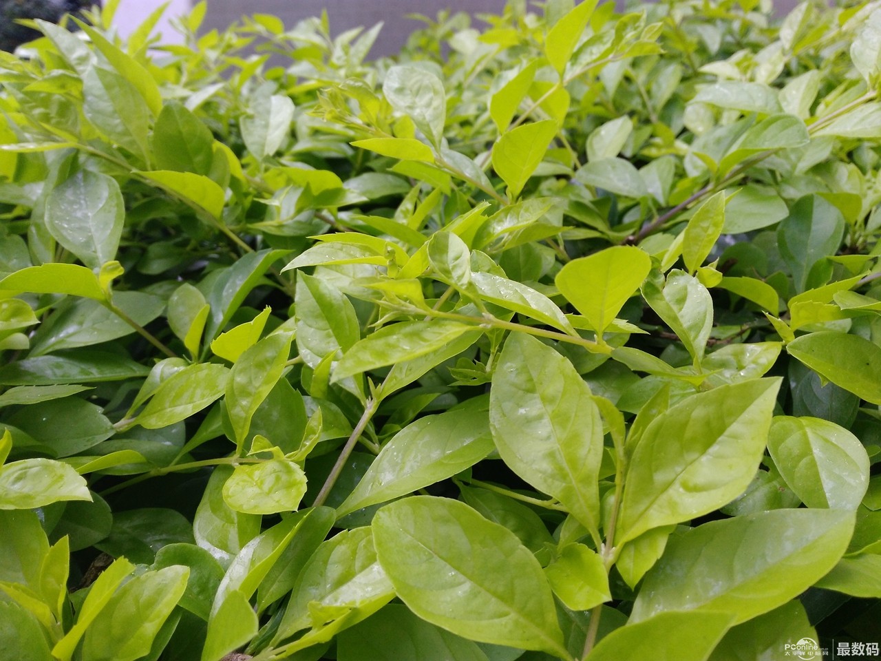 华为手机平板无缝协同,华为手机与平板多屏协同画质