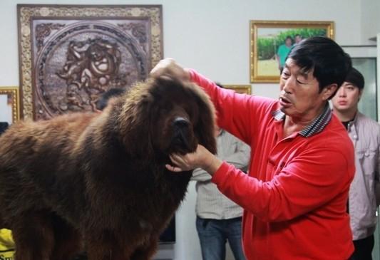 马家军主要人物出国了吗,马家军里的运动员现状