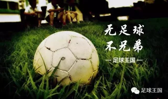 足球大师菲戈特性,足球先生菲戈完整版