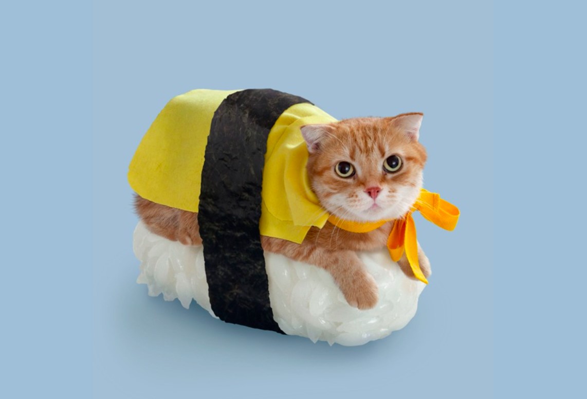 收藏aj被骂,收藏aj会亏吗