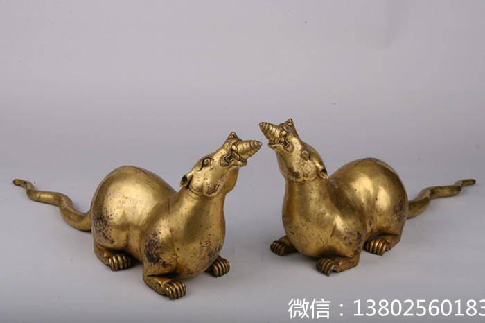 盘点那些大型萌宠的可爱瞬间,盘点这五个萌宠你觉得哪个最可爱