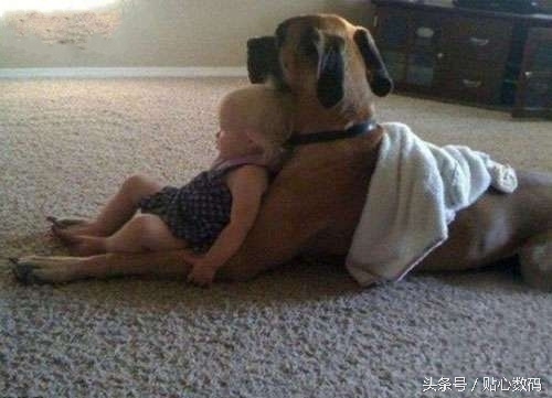 会踢球的男人,踢球的男生值得珍惜