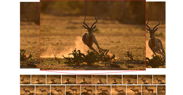 2019年全画幅相机哪款值得买,2019非全画幅单反相机推荐