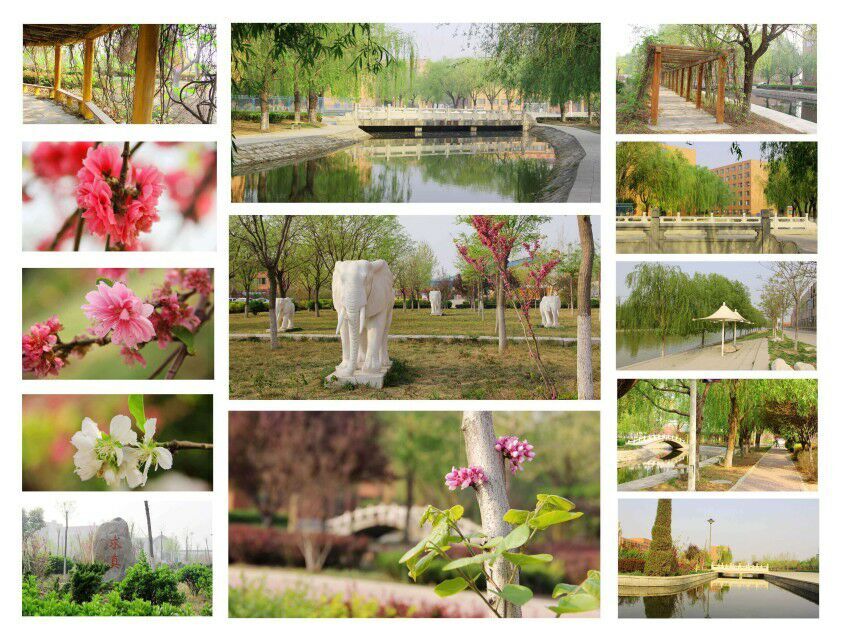 山东华宇工学院排名,山东华宇工学院的口碑