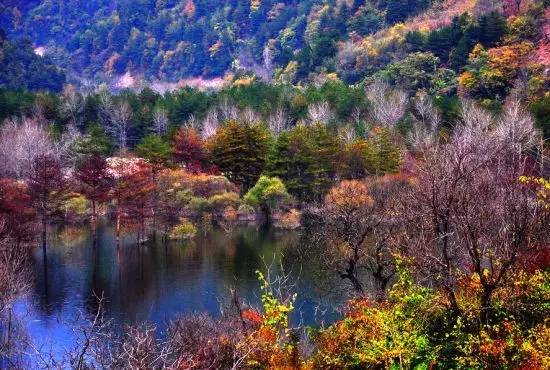 陕西100个示范村名单 (陕西省级示范村名单)