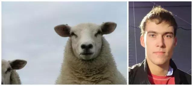 网络十二生肖搞笑,足球运动员十二生肖