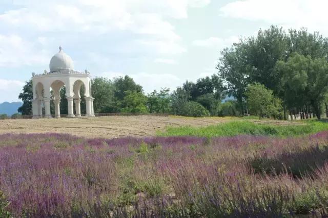 北京稻香湖景酒店儿童乐园,稻香湖欢乐岛温泉城堡儿童乐园