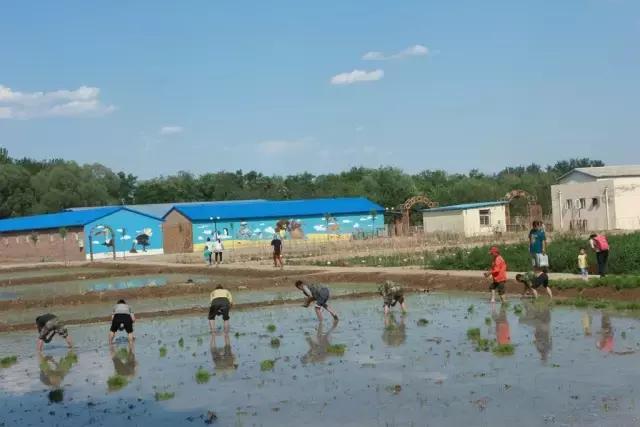 北京稻香湖景酒店儿童乐园,稻香湖欢乐岛温泉城堡儿童乐园