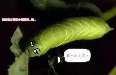 逃离北上广，来灌云吧