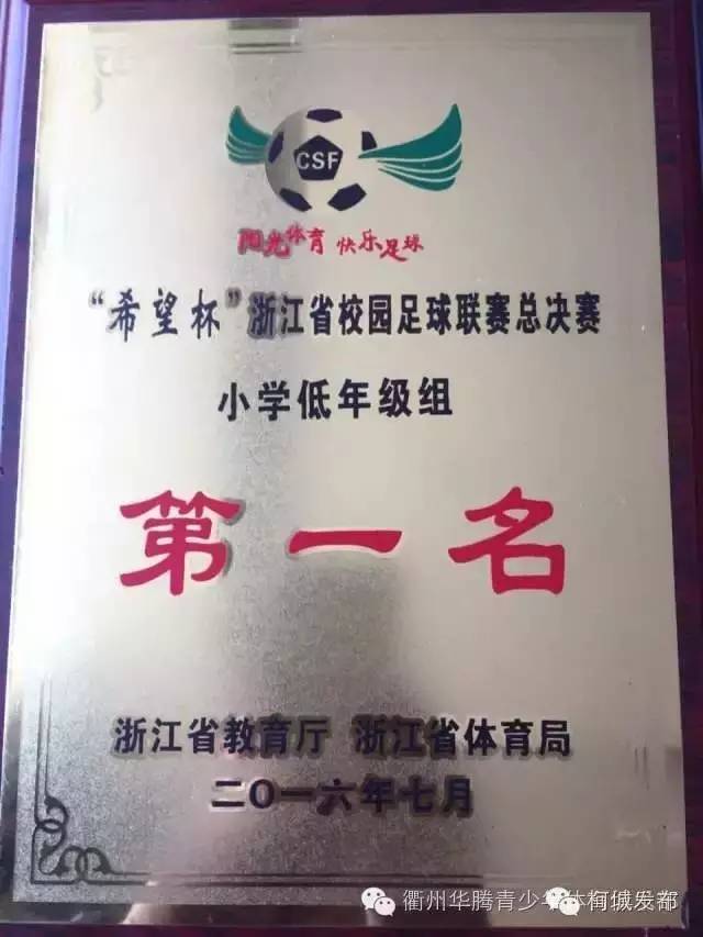 不得了!柯城这群绿荫小将拿了全省冠军!