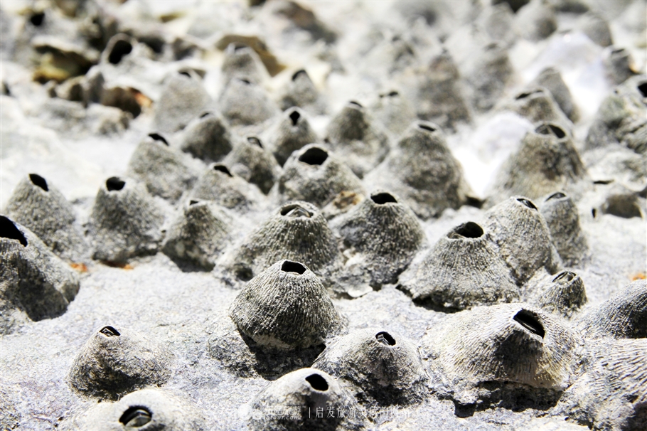 放学别走！雪兰莪喊你去补生物课！