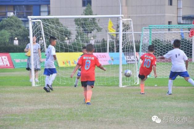 不得了!柯城这群绿荫小将拿了全省冠军!