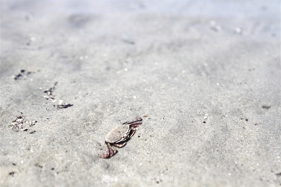 放学别走！雪兰莪喊你去补生物课！