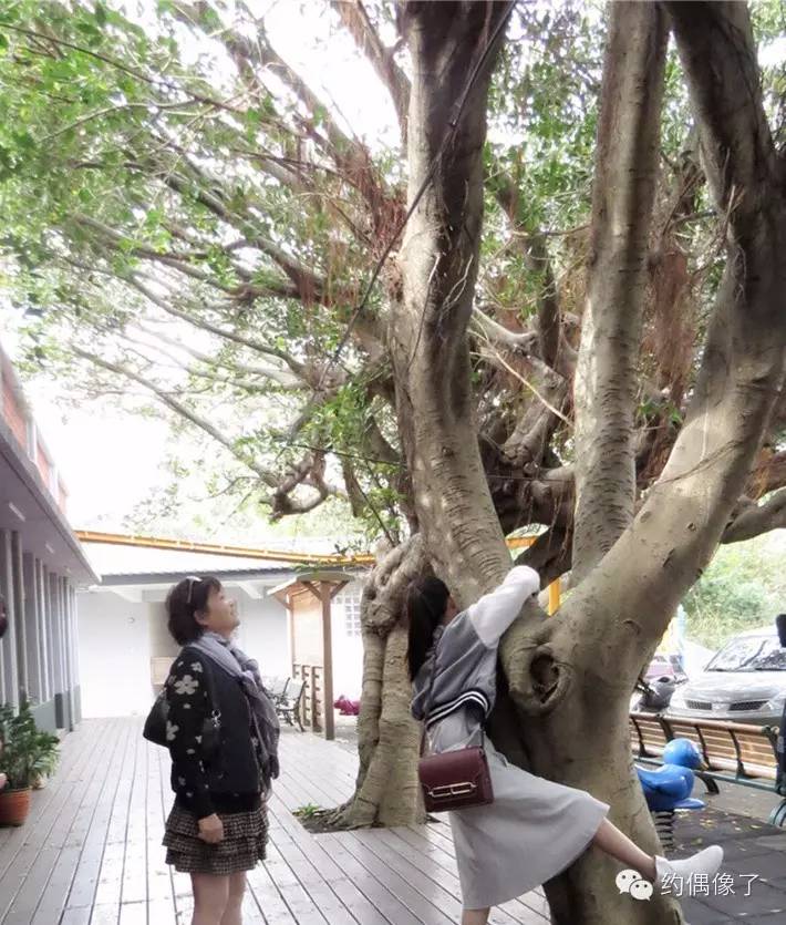 陈乔恩东方不败一招制敌,陈乔恩东方不败采访一招制敌