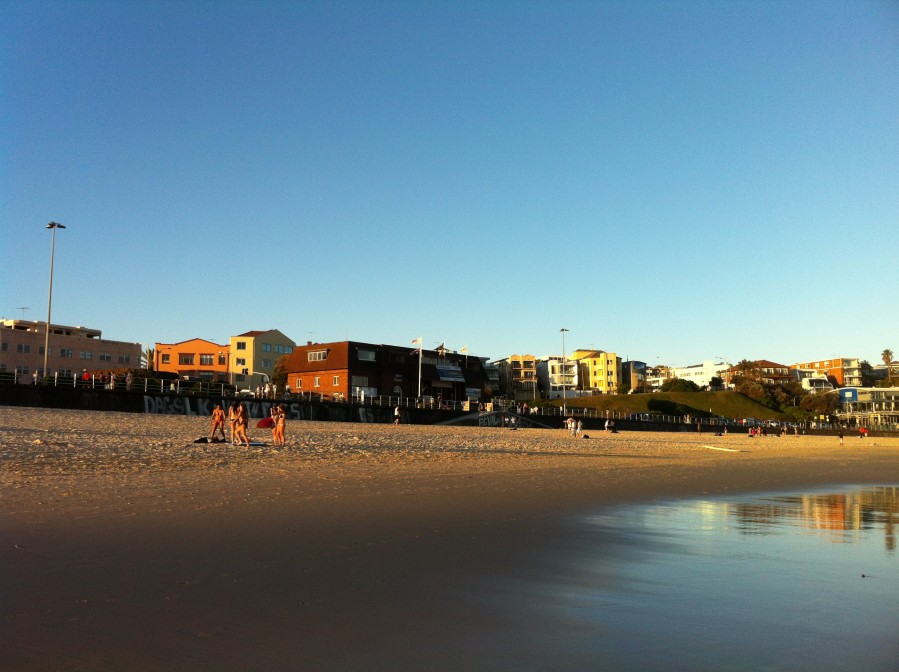 悉尼是啥味道,悉尼盐蚝