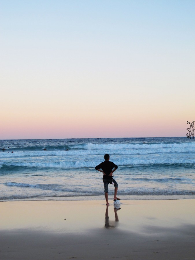 悉尼是啥味道,悉尼盐蚝