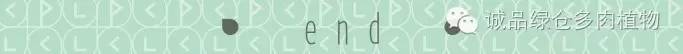 关于逛多肉市场,北方最大的多肉市场
