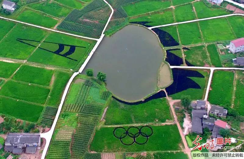 光明视频全集,光明动态图片