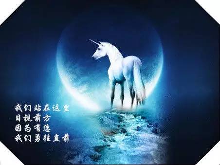 沉浸式带你体验户外运动,夏日运动户外活动休闲娱乐