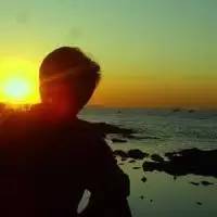 记者暗访:太鹤大桥封桥后,部分出租车“乘火打劫”,大家遇到涨价可以这样