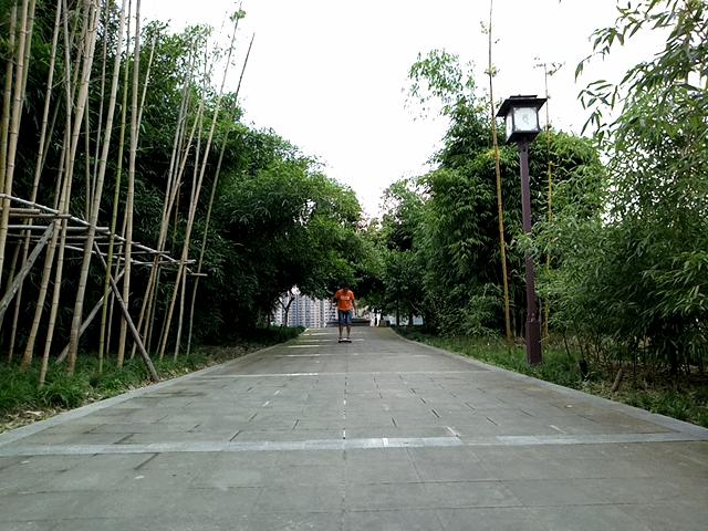 飞轮威尔,飞轮威尔电动折叠自行车