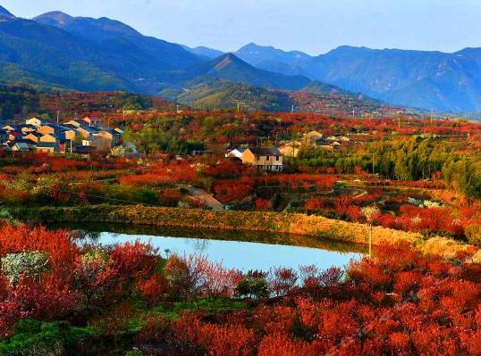 山间漂流避暑旅游,浙江深山避暑天堂住木屋