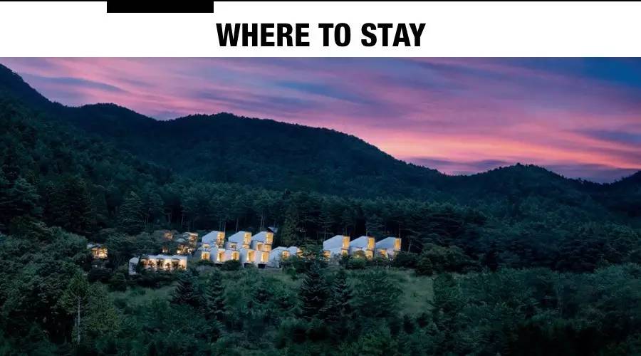 亚洲十大顶级鸡尾酒吧,最具特色的鸡尾酒吧