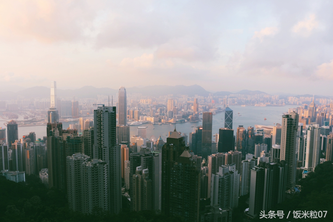 窥见英文,窥见上海商业