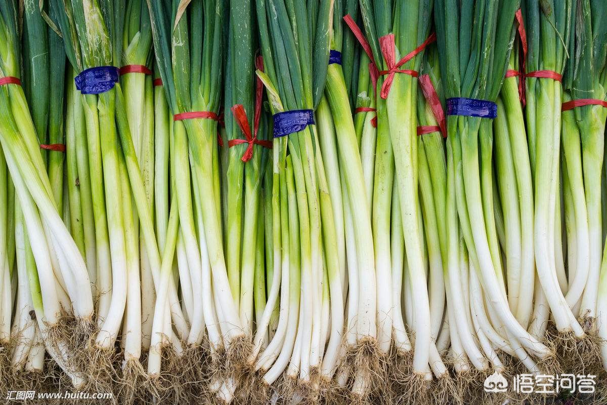 农村俗语“葱辣鼻，蒜辣心，辣椒辣嘴唇”，你知道它的意思吗