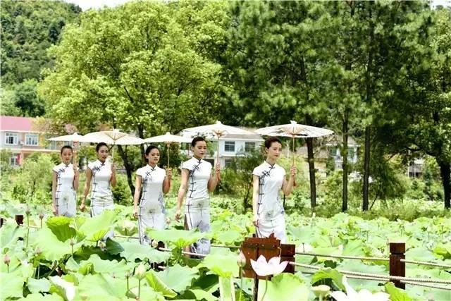 浏阳美丽乡村项目,美丽乡村建设将极大提升