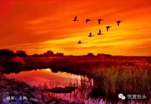 包头草原看星空,草原之上视频