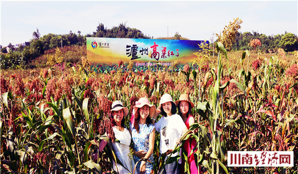 泸州人家红高粱,泸州红高粱38度价格