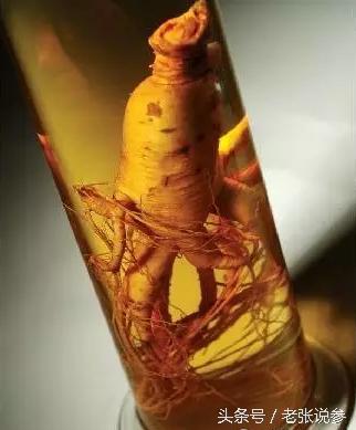 浜哄弬娉￠厭閰嶆柟澶у叏,浜哄弬鍜屼粈涔堟场閰掑ソ