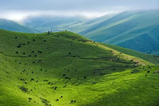 云南这几个小众宝地别错过,云南这些游玩宝地别错过