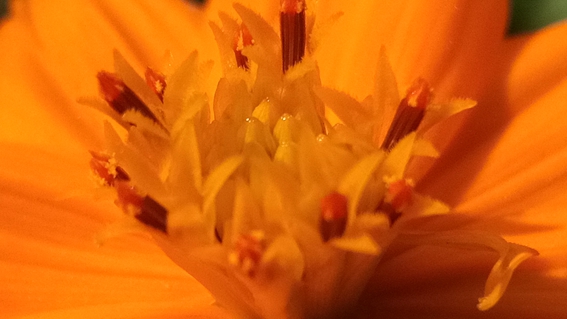 小品牌性价比电动车,酷比max5参数