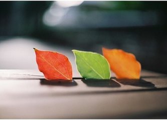 雅思托福口语高频词汇,雅思托福词汇大全