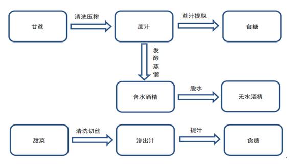 疯涨的股票大盘,a股爆发的反弹