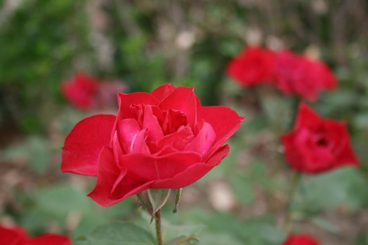 vivox7上手体验,vivox7缺点演示