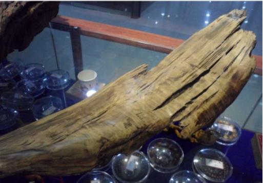 diy打蜡教程全过程,上蜡的正确方法和步骤