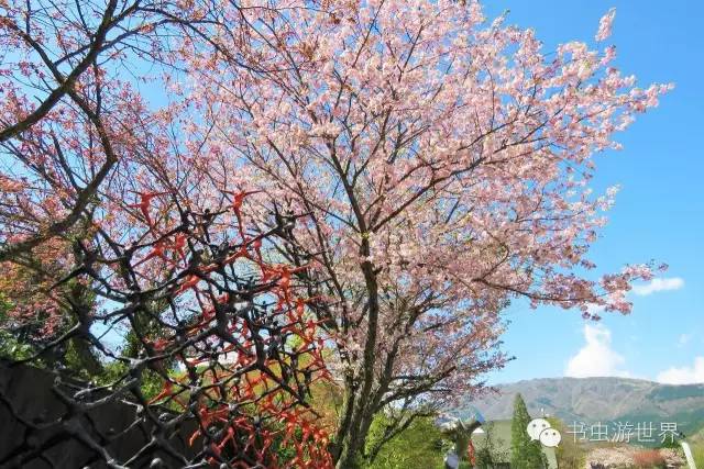 工艺精湛建筑雕塑作品欣赏,箱根雕塑之森美术馆