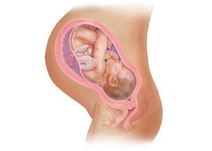 惊奇宝宝第一季,怀孕过程中的十大惊奇发现