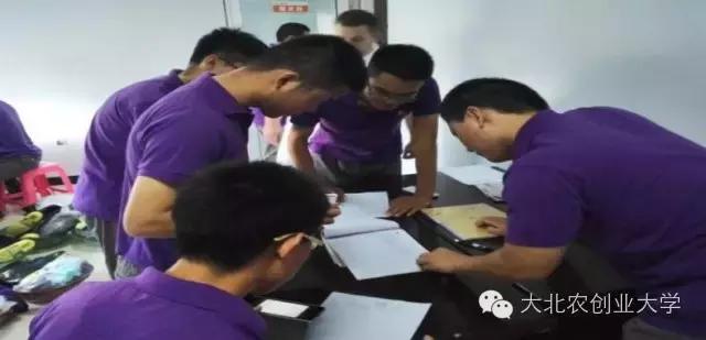 母猪妊娠检查最佳时间,母猪早期妊娠诊断的方法有哪些