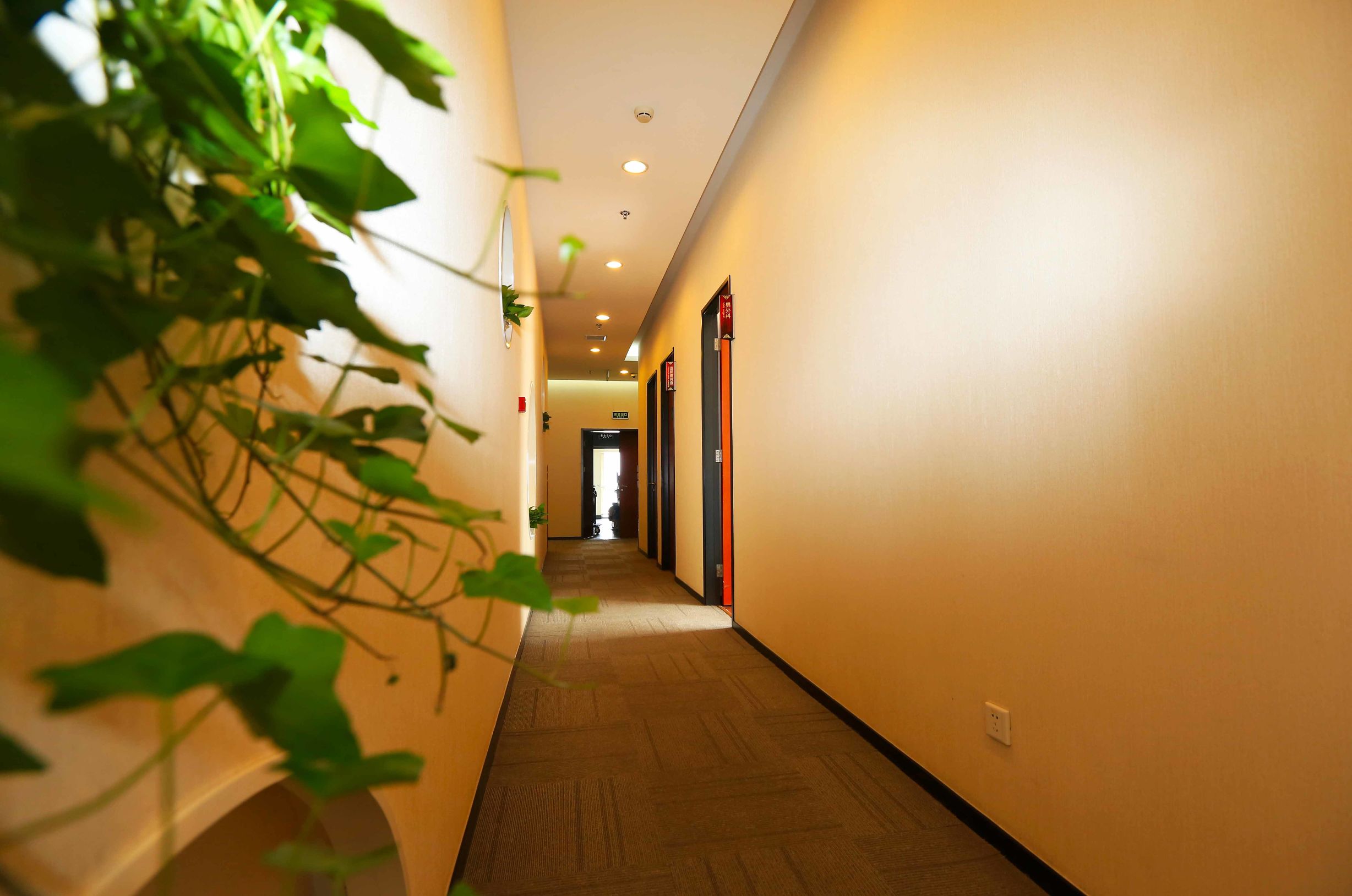 306医院健康查体怎么预约,306医院官方网站