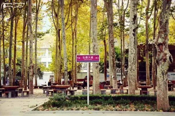 资讯我在山大等你——玩在山大