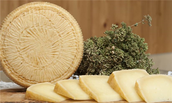 一帖看全常见芝士！麻麻再也不用担心我在超市芝士柜迷路了