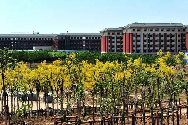 别了，老校区！感谢你陪伴了很多人的青春！