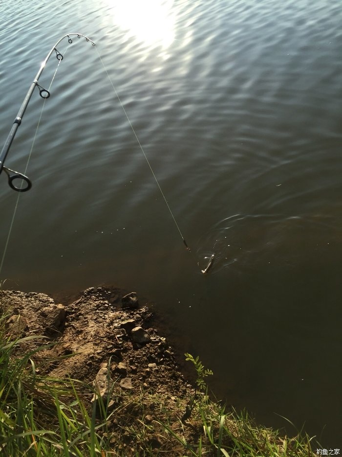 鳜鱼活性低用哪种拟饵,路亚鳜鱼拟饵