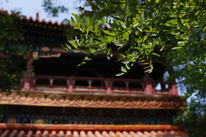 适马sdquattroh值不值得入手,适马sdquattroh配镜头